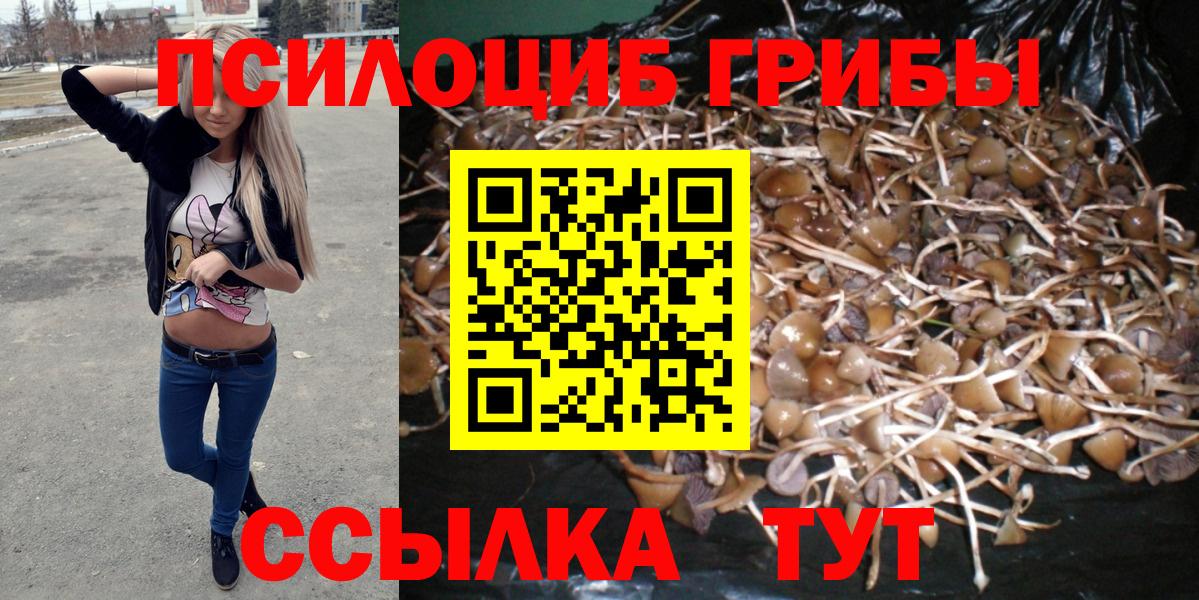 Галлюциногенные грибы прущие грибы  Вход с VPN  Уссурийск 